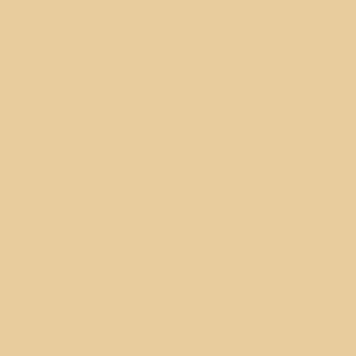 Siser EasyWeed - Cream