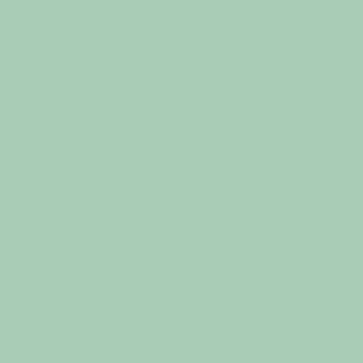 Siser EasyWeed - Sage