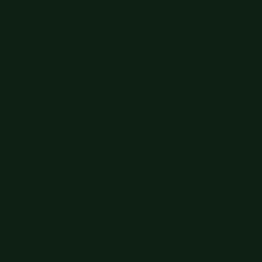 Siser EasyWeed - Dark Green